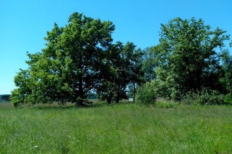 Село троицкое участок