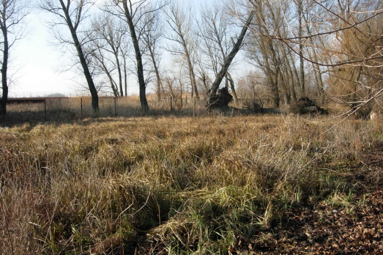 Земельный участок в хуторе Рогожкино