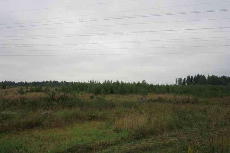 Земельный участок в деревне Полежайки 