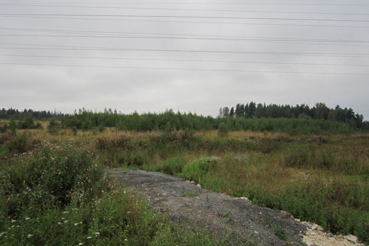 Земельный участок в деревне Полежайки 