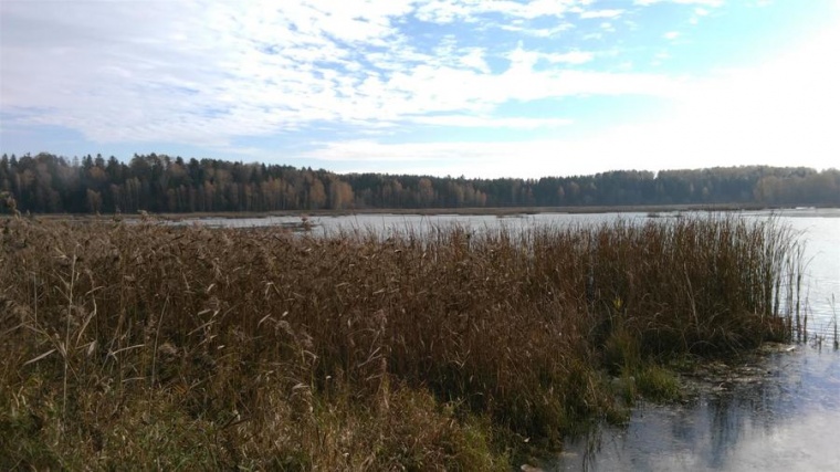 Купить Землю В Борском Районе Нижегородской