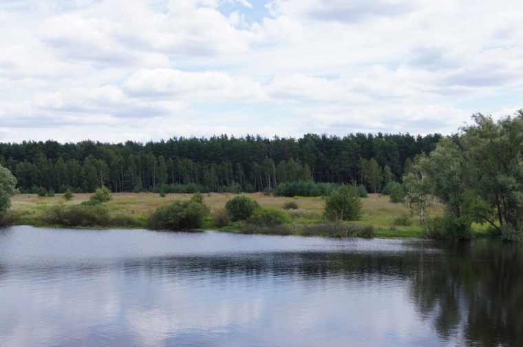 Купить Дом Поповка В Раменском Районе