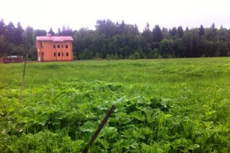 Участок сот. Деревня Лупаново. Лупаново Дмитровский район. Деревня Лупаново Дмитровского района. Участки в Дмитровском районе.