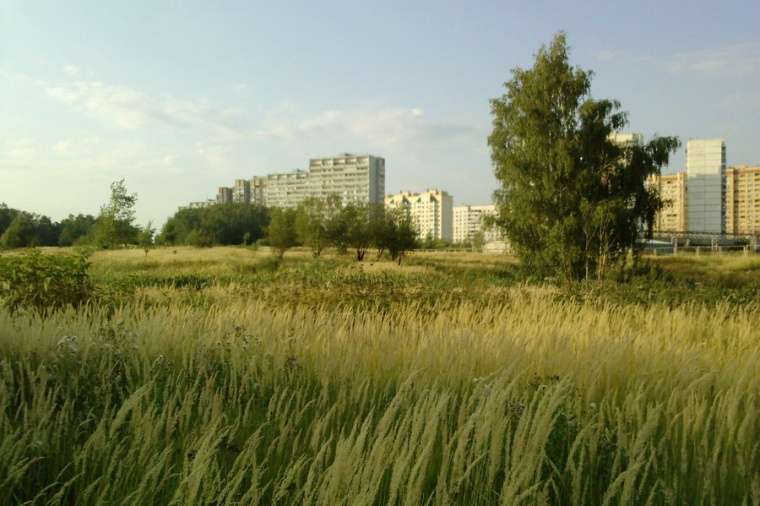 Поселок ленинский московская область