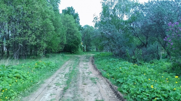 Погода давыдково нижегородской