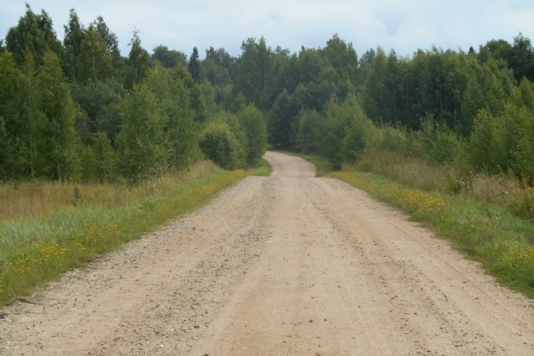 Подберезье город