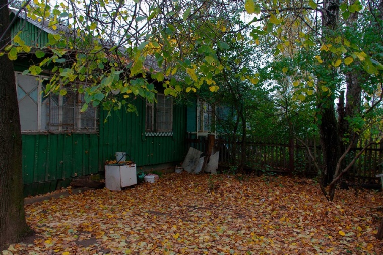 В поселке дачное нашли. Дачный поселок Снегири. Дачный поселок Снегири Московская область. Поселок Снегири Истринского района Московской области. Деревня Снегири Истринский район.