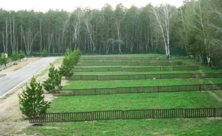 Купить Дом В Сосновом Бору Раменский