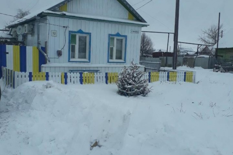 Пестравка самарская область. Селе Пестравка Пестравского района Самарской области. С Дмитриевка Самарская область Пестравский район. Село Телешовка Пестравского района Самарской области. Село Пестравка Самарская область население.