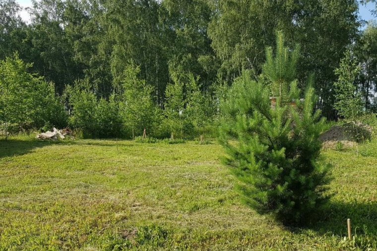 Купить Участок Лесное Озеро Серпуховский Район