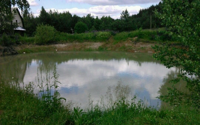 Купить Дом В Арзамасском Районе Село Красное