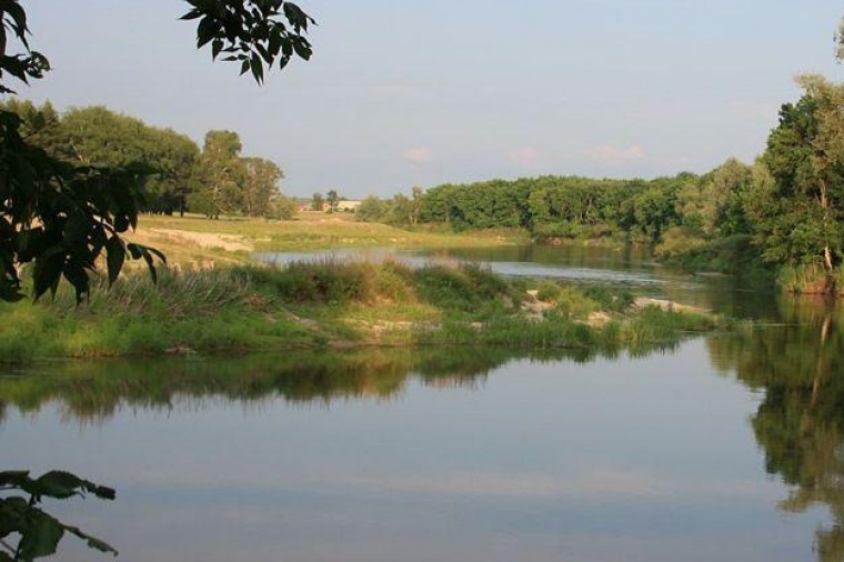 Воронежская область село пески. Пески Воронежская область. Пески харьковские Острогожский район. Пляж в Песках Поворинского района. Кривое озеро Острогожский район.