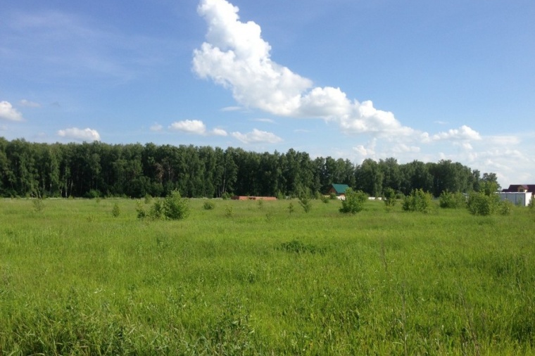 Земельный участок деревня. Городище Московская область Воскресенский. Деревня Городище Московская область Воскресенский. Воскресенский район Московской области посёлок Городище. Деревня Сосновка Воскресенский район.