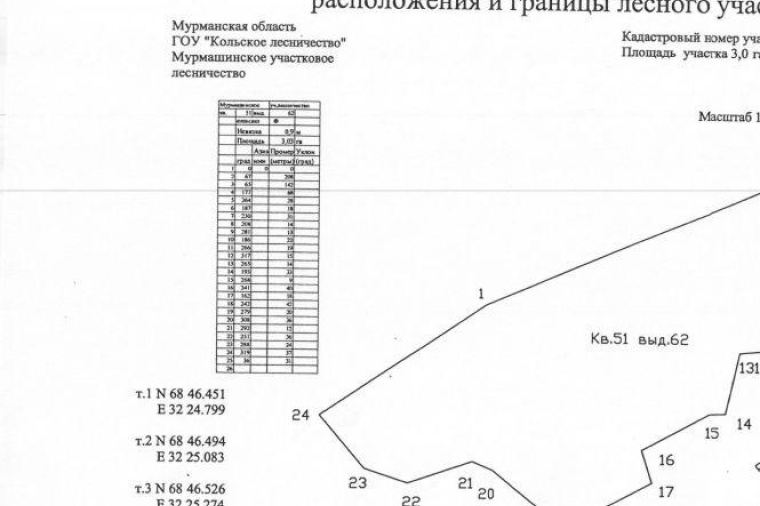 Описание границ. Схема расположения и границы лесного участка. Схема расположения проектируемого лесного участка. Схема границ лесного участка. План лесного участка образец.