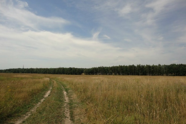 Участок раменский. Мещеры Раменский район. Деревня Мещеры. Село Аринино Раменский район. Деревня Мещера Раменское.